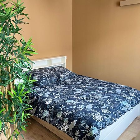 Ferienwohnung L'Ile De Bali, Sejour En Couple Ou Famille Roanne Exterior foto