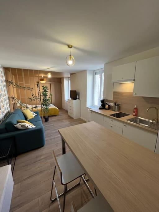 Ferienwohnung L'Ile De Bali, Sejour En Couple Ou Famille Roanne Exterior foto