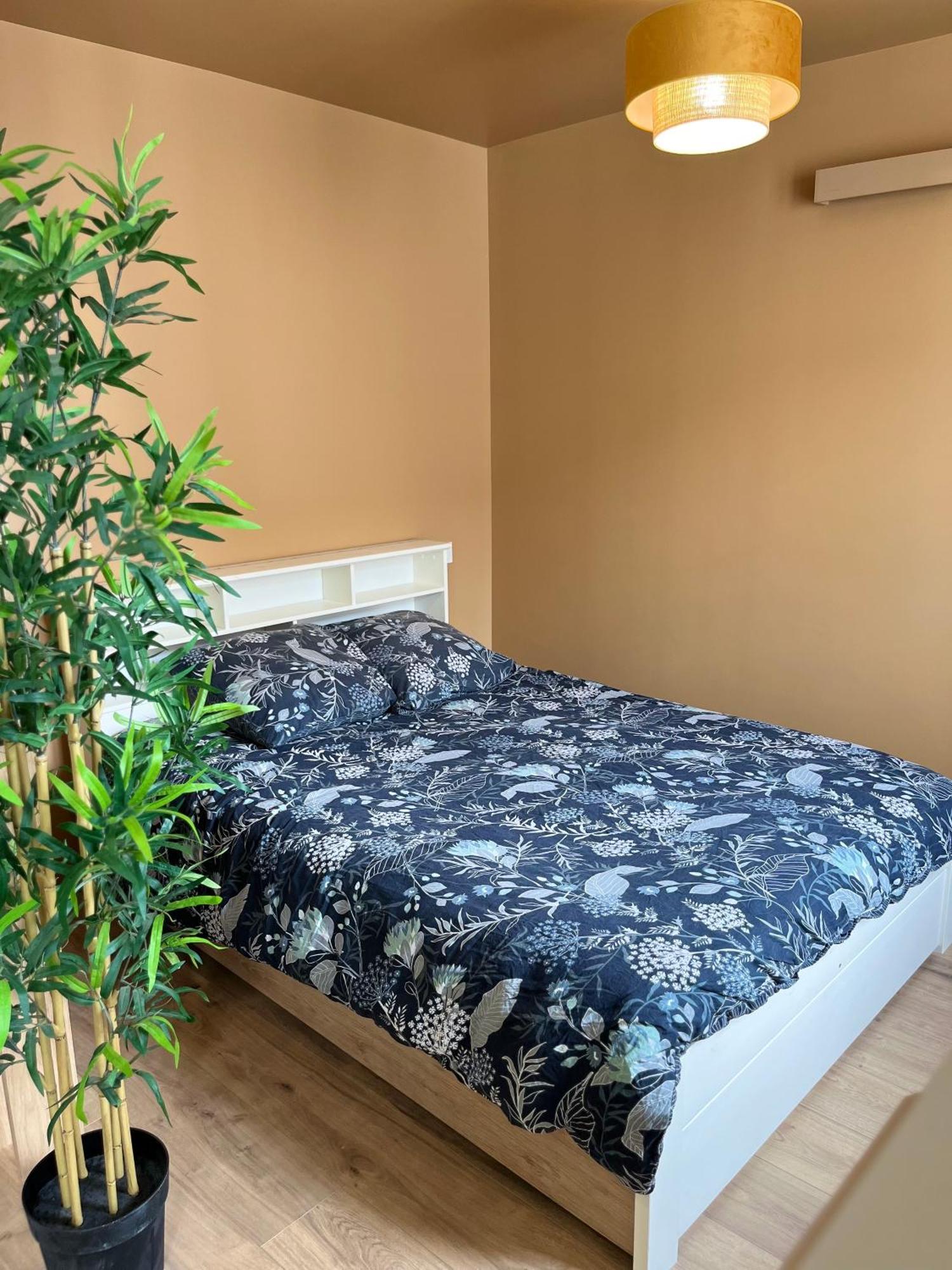 Ferienwohnung L'Ile De Bali, Sejour En Couple Ou Famille Roanne Exterior foto