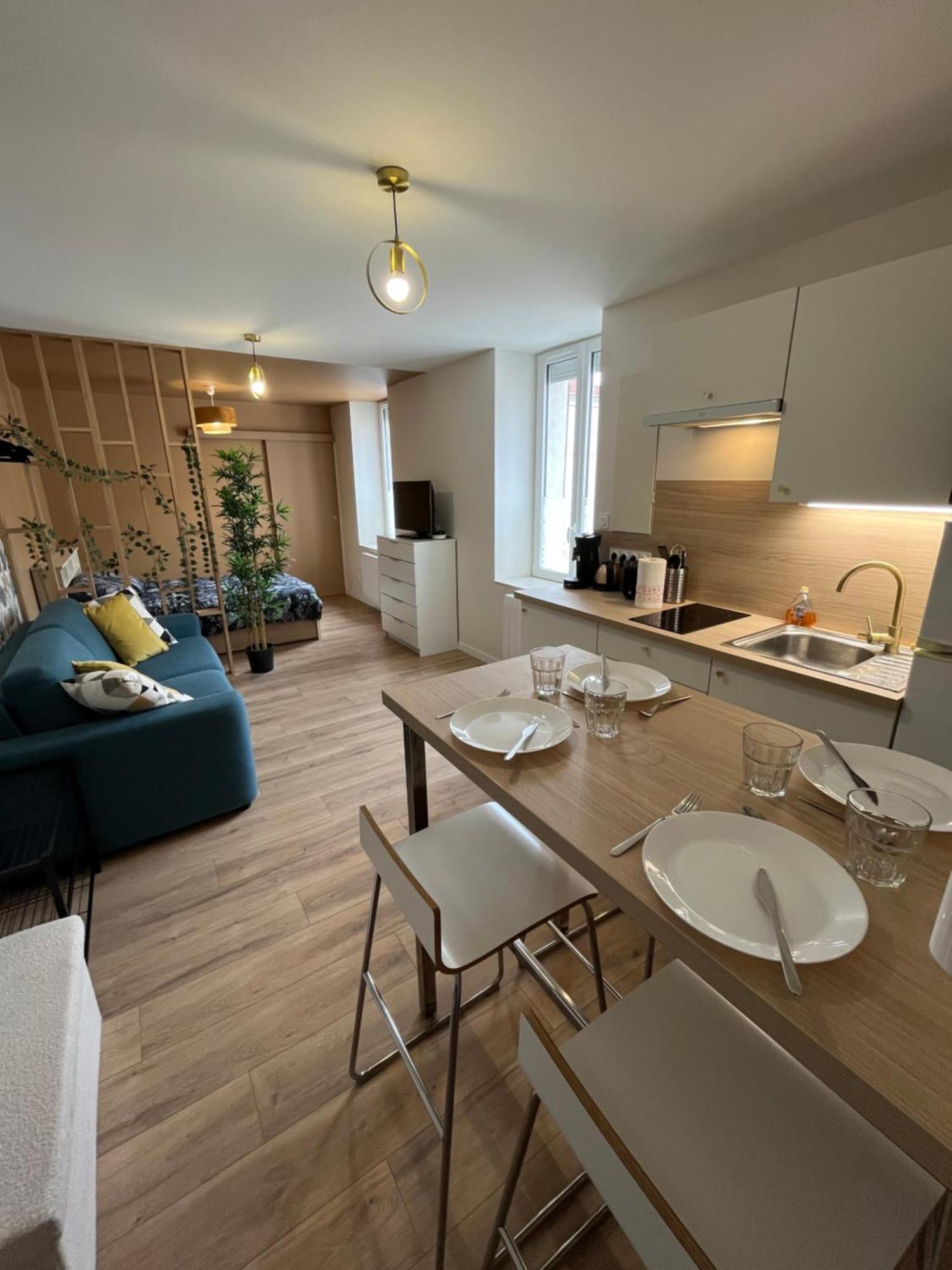 Ferienwohnung L'Ile De Bali, Sejour En Couple Ou Famille Roanne Exterior foto